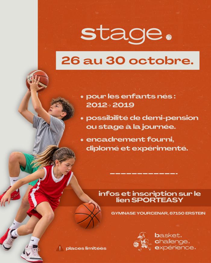 2026_10 stage basket